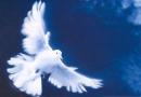 Cours de Chant-Pose de Voix-Interprtation-Atelier-Prparation  la scne.
